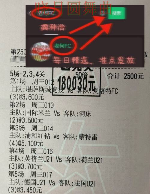 世界杯投注注册哪个好用更适合新手一文看懂 世界杯投注注册哪个好用更适合新手一文看懂